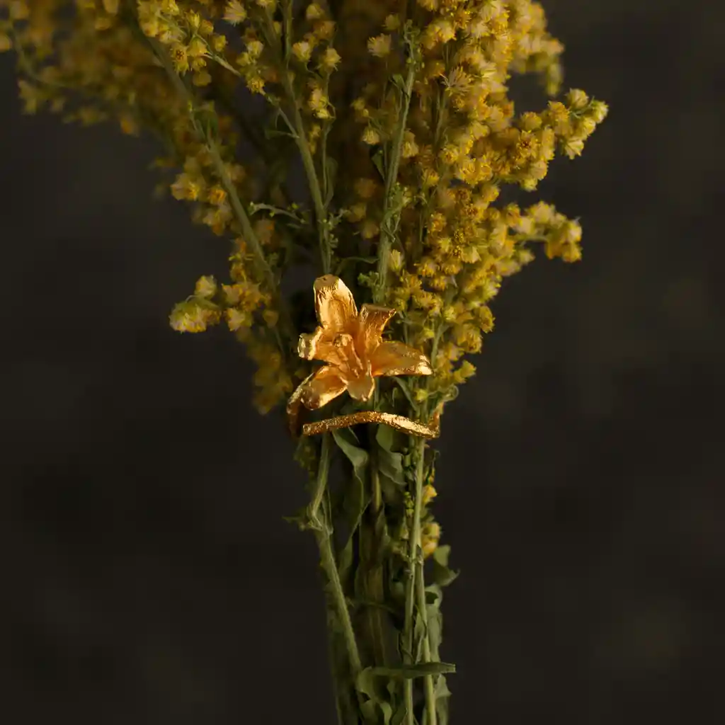 Anillo Orquidea Maxilaria