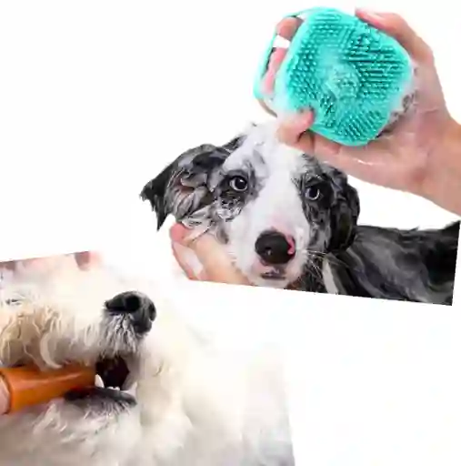 Duo De Cepillo Dental Tipo Dedo Mas Cepillo De Baño Portatil Con Dispensador De Shampoo Para Perros Y Gatos