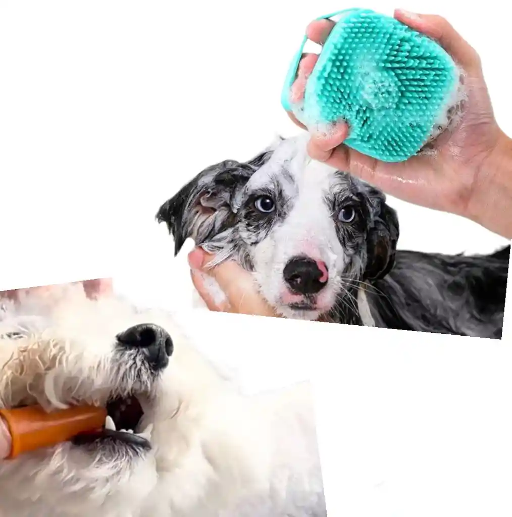 Duo De Cepillo Dental Tipo Dedo Mas Cepillo De Baño Portatil Con Dispensador De Shampoo Para Perros Y Gatos