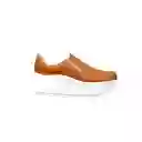 Zapato Dama Calzado Mujer Tenis Casual Karla Chacon Roxana Miel/35