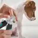 Corta Uñas Con Lima Tipo Alicate Para Perros Y Gatos Azul