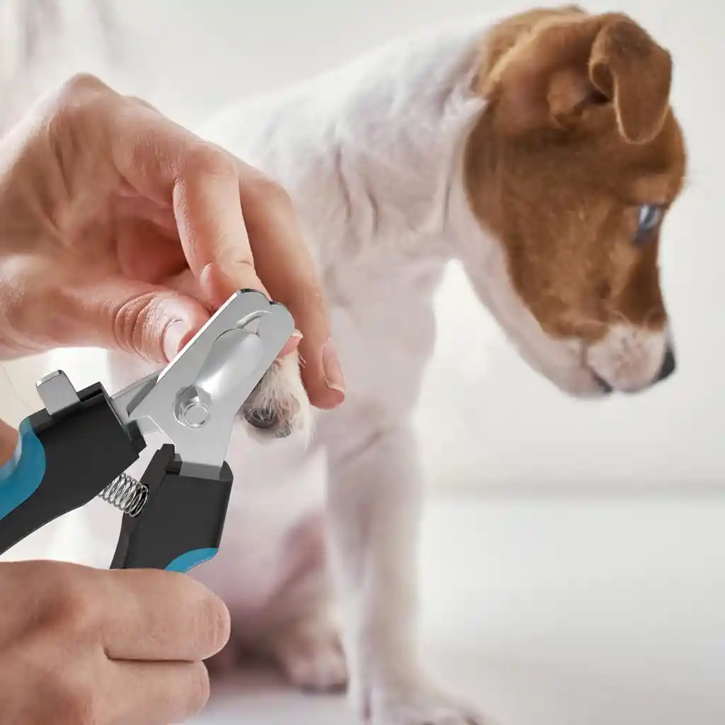 Corta Uñas Con Lima Tipo Alicate Para Perros Y Gatos Azul