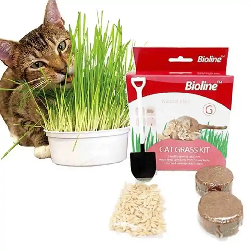 Hierba - Pasto Para Gatos - Kit De Siembra Completo Bioline