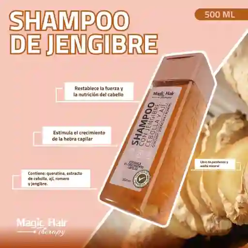 Shampoo De Jengibre