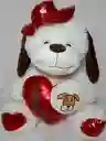 Peluche De Perro Con Gorro