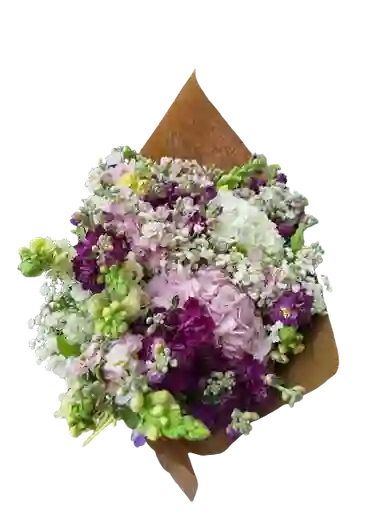 Bouquet De Alelí