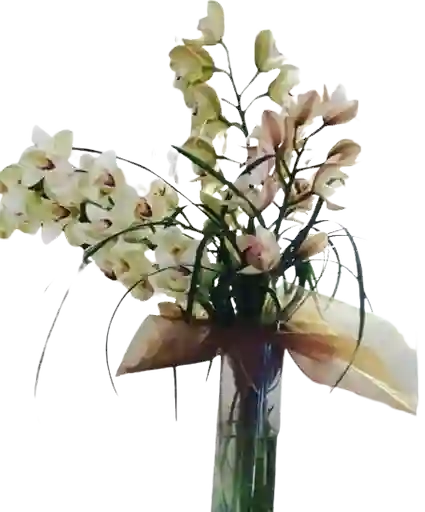 Orquídeas Entre Mariposas Florales