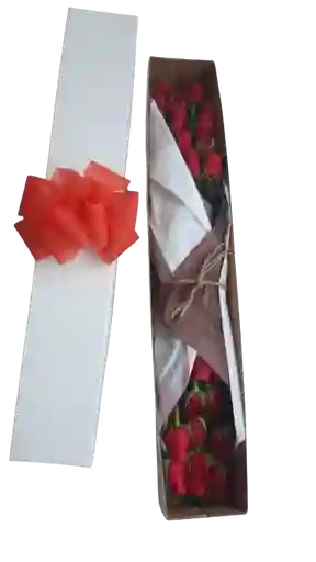 Caja Floral De Rosas Rojas X24