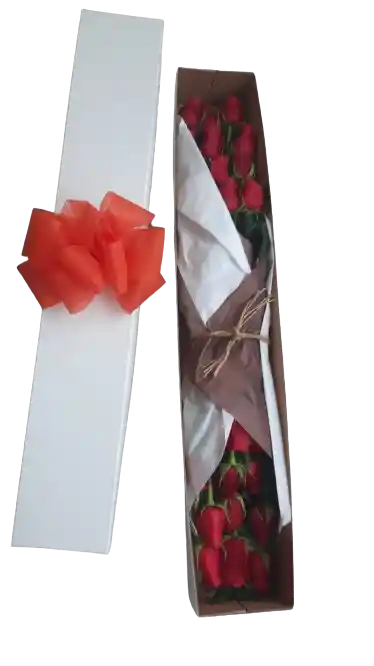 Caja Floral De Rosas Rojas X24
