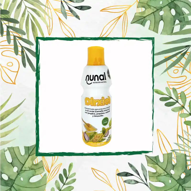 Te Verde Con Jengibre - Dirxiol