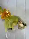 Bouquet Sorpresa Amarilla