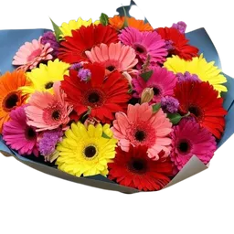 Bouquet Gerbera Surtida