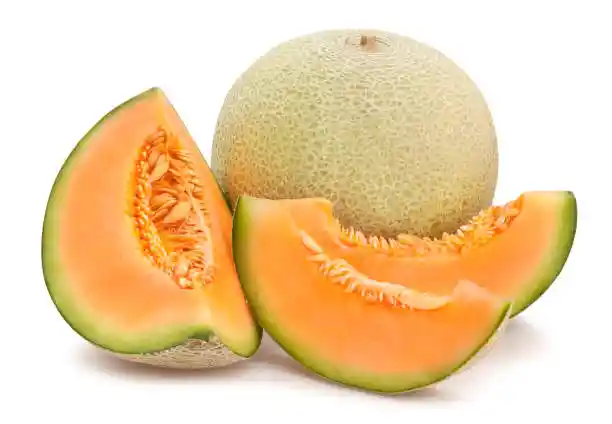 Melon