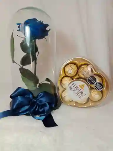 Rosa Azul Preservada Y Ferrero