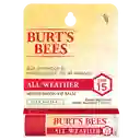 Burt's Bees Balsamo Para Labios Spf15 - Outlet Sin Caja