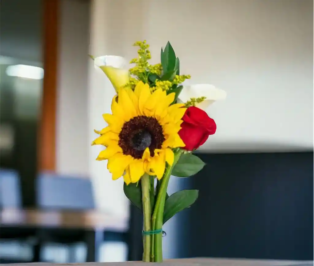 Girasol Y Rosa Con Cartuchos