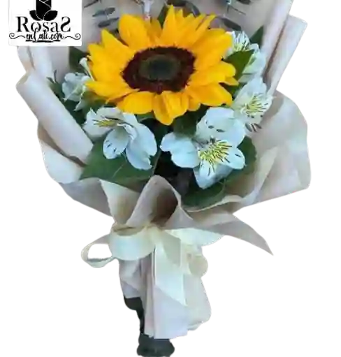 Girasol Feliz Día