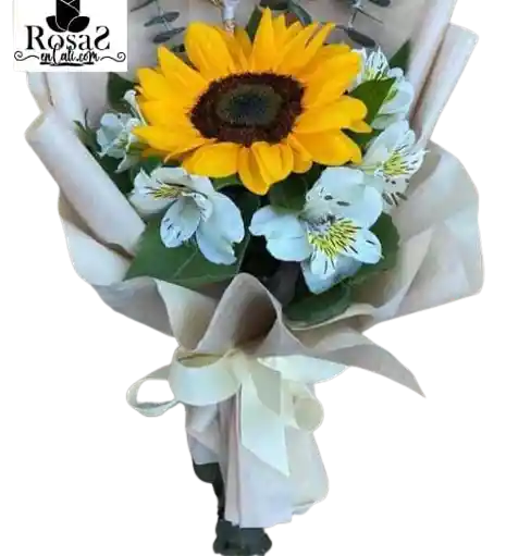 Girasol Feliz Día