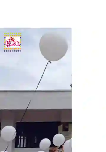 Globo R12 Con Helio Liso Duracion Maxima 8 Horas