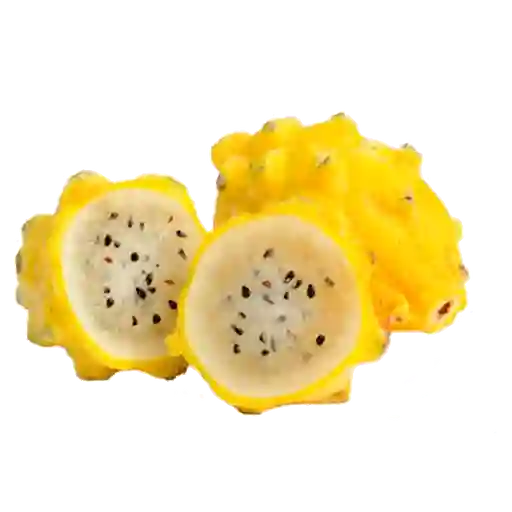 Pitaya X Libra