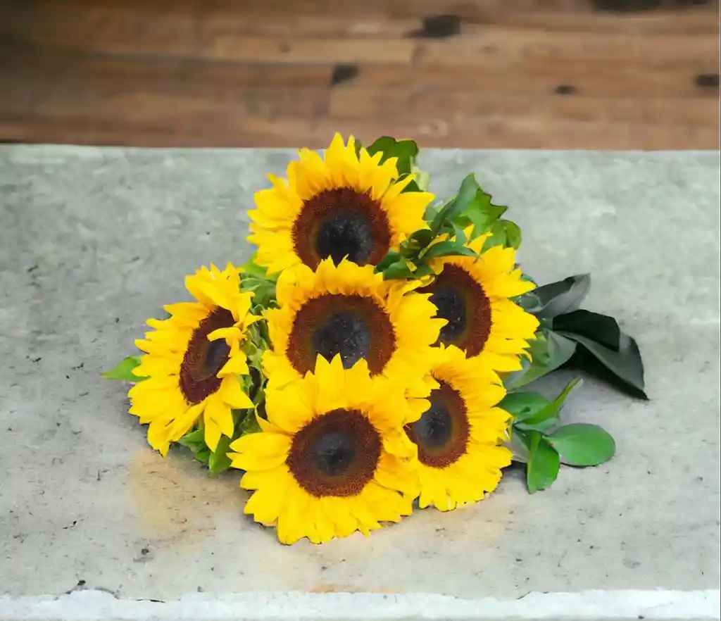 Bouquet Girasol X 6