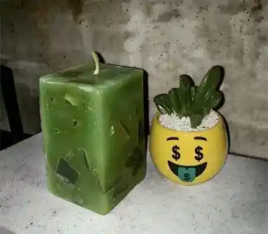 Regalo Planta Suculenta Y Vela Ganador