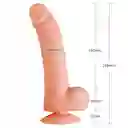 Dildo Realista Leviatán 23.8 Cm Piel