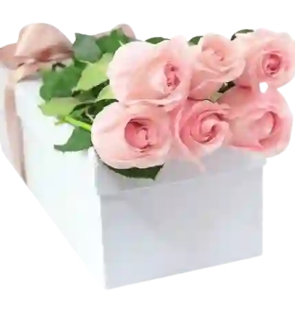 Rosas Rosadas En Caja X6 Unidades.