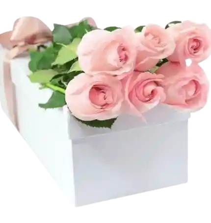 Flores De Rosas Rosadas En Caja X6 Unidades.