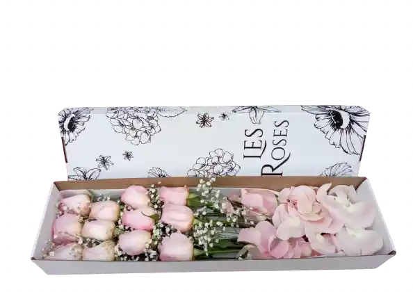 Flores De Rosas Rosadas En Caja X12 Unidades