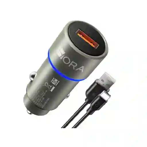 Cargador Carro 1hora + Cable Tipoc