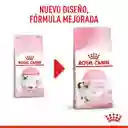 Royal Canin - Fhn Kitten