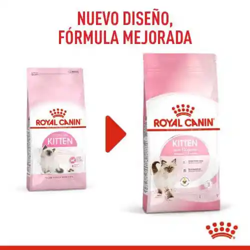 Royal Canin - Fhn Kitten