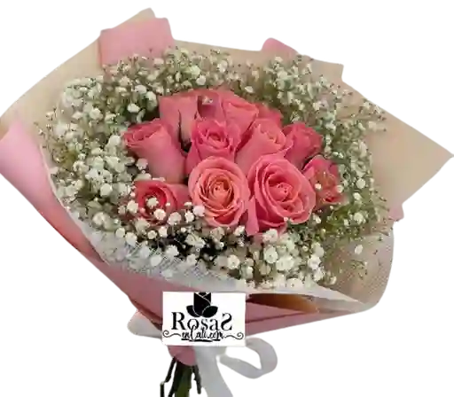 Rosas Tiernas En Cali