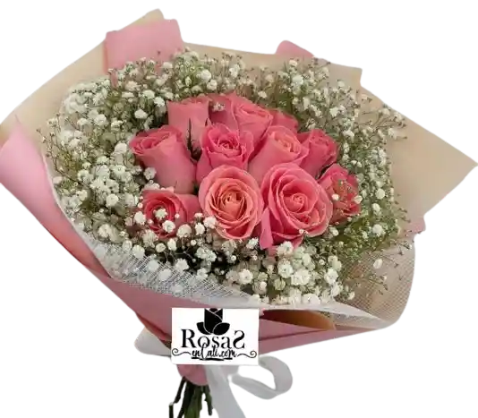 Rosas Tiernas En Cali
