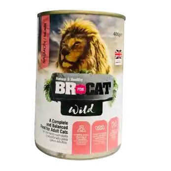 Lata Br For Cat Wild Salmon