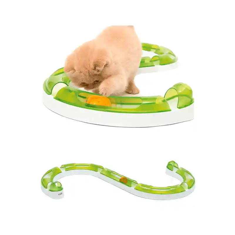 Juego De Gato Circuito