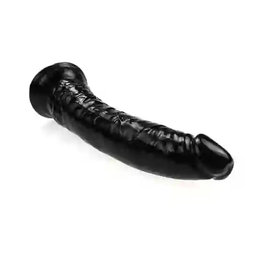 Dildo Realista Baru Negro 21 Cm Camtoyz