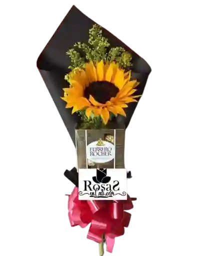 Girasol Con Chocolate