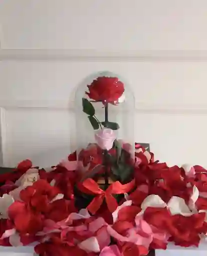 Cupula De La Bella Y La Bestia X 2 Rosas Preservadas En Caja Sorpresa Con Pétalos. Dia De La Madre