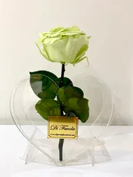 Detalle Elegante De Rosa Verde Limón Preservada En Caja Acrílica De Corazon. Women's Day
