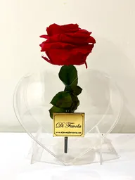 Rosa Preservada Roja En Corazon Acrilico