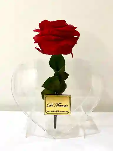 Regalo Dia De La Mujer Amor. Rosa Preservada Roja En Corazon Acrilico