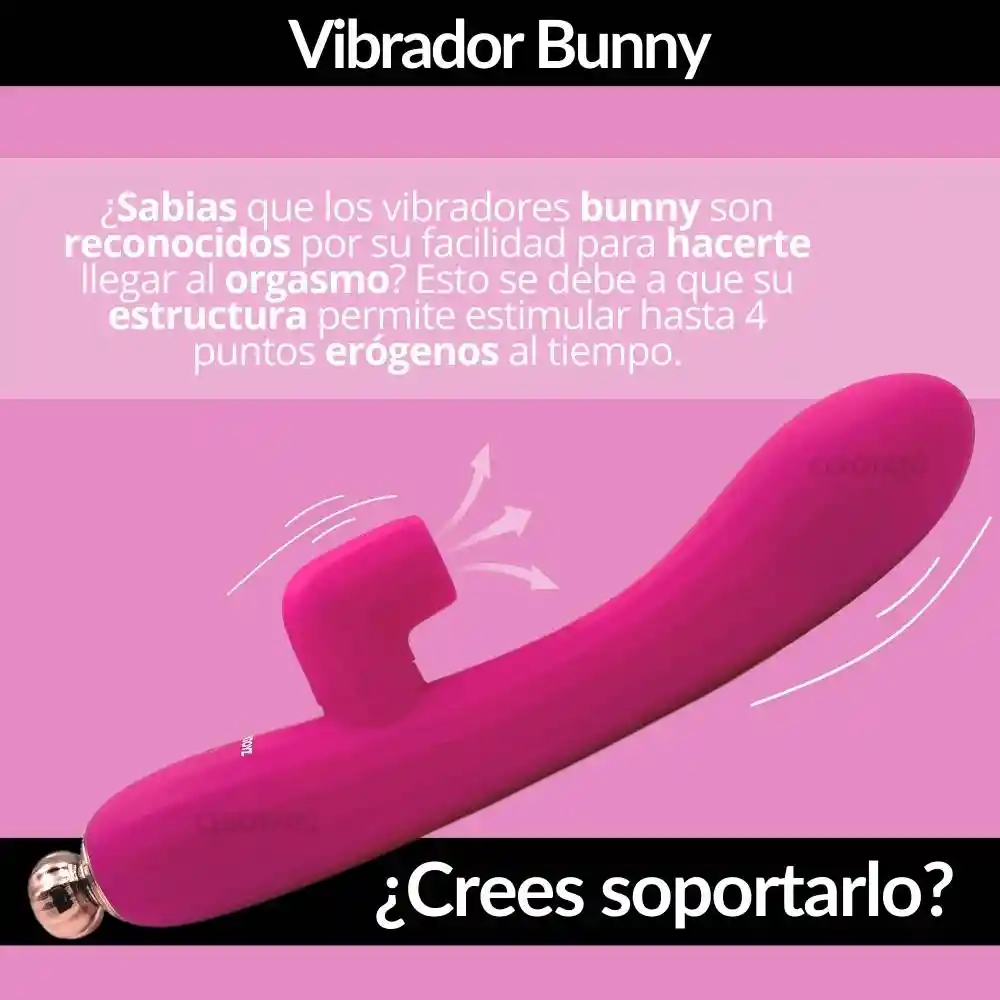 Vibrador Y Succionador Consolador Doble Estimulación Dildo