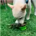 Cuchara Clip Dosificadora De Alimento Para Mascotas Grande