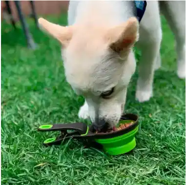 Cuchara Clip Dosificadora De Alimento Para Mascotas Grande