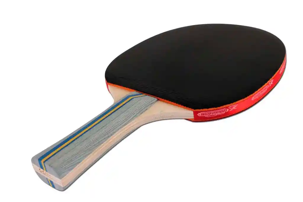 Raqueta Para Tenis De Mesa