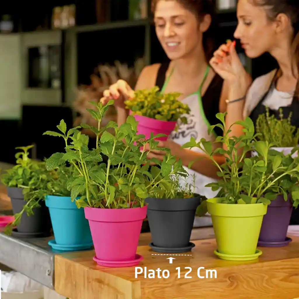 Plato 12 Cm Fucsia