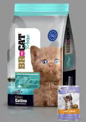 Br For Cat® Pure Gatitos Salmón 1 Kg Gratis 1 Pouch Plaisir Kitten