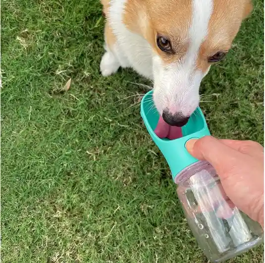 Botella De Agua Portátil Para Perro, A Prueba De Fugas, Con Dosificador, Para Mascotas, Para Paseos Al Aire Libre